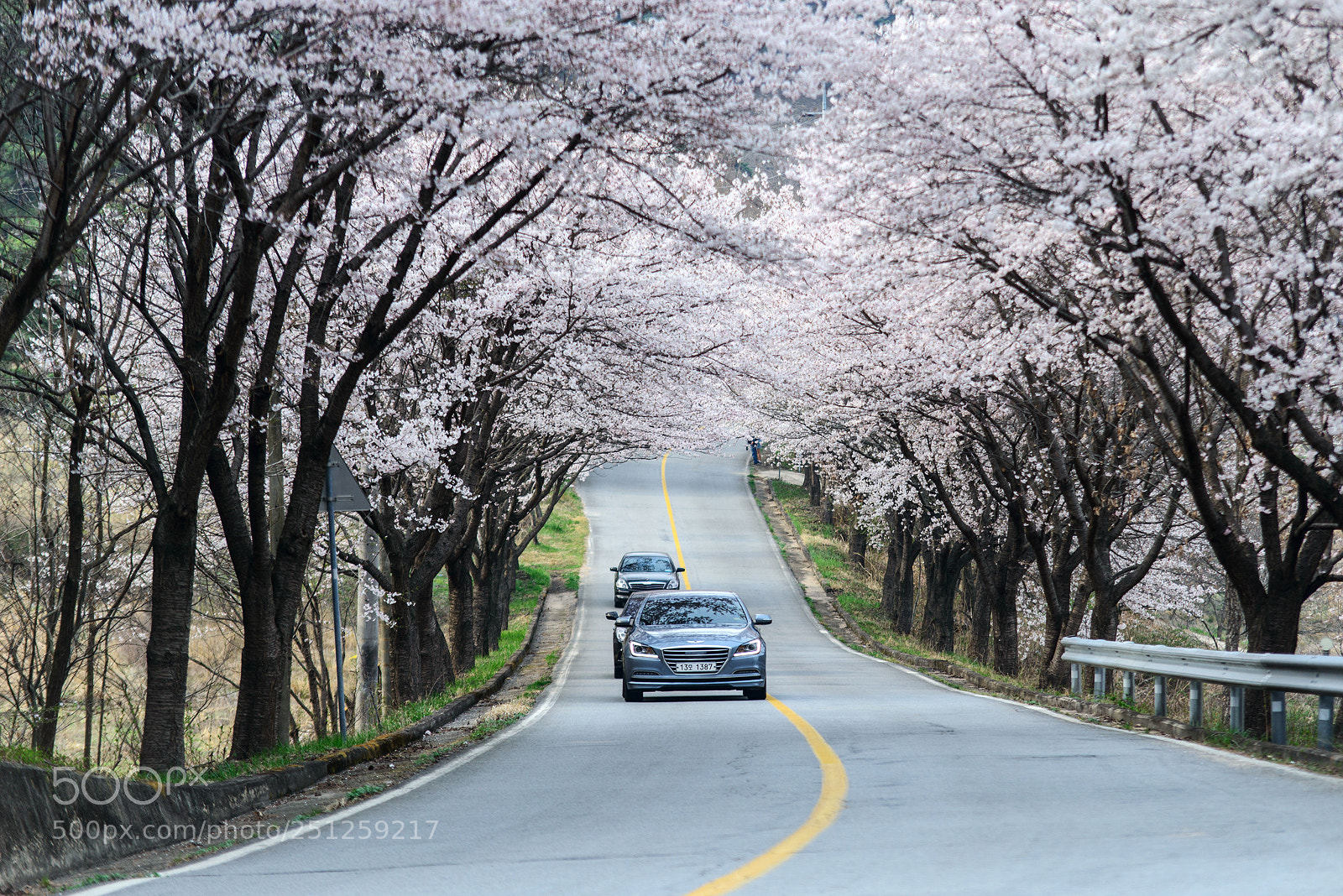 Nikon D800 sample photo. Untitled photography