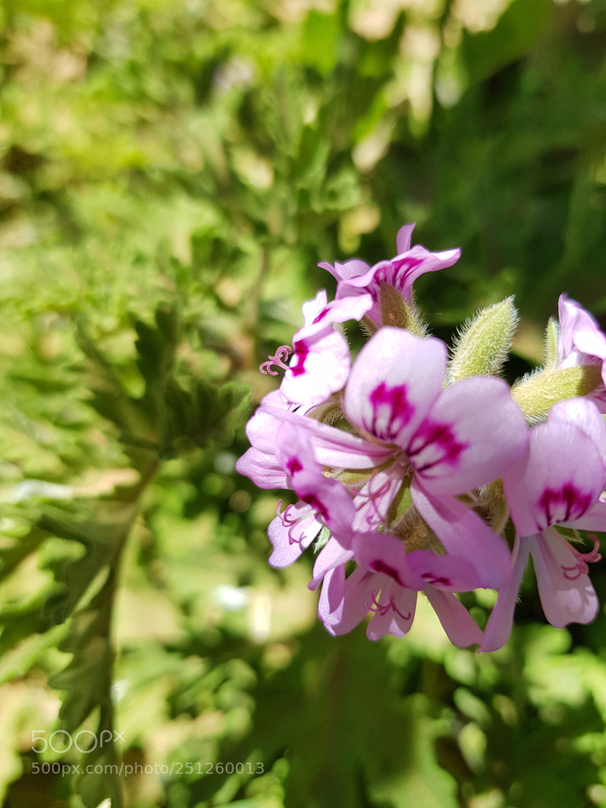 Samsung Galaxy S8 sample photo. Untitled photography