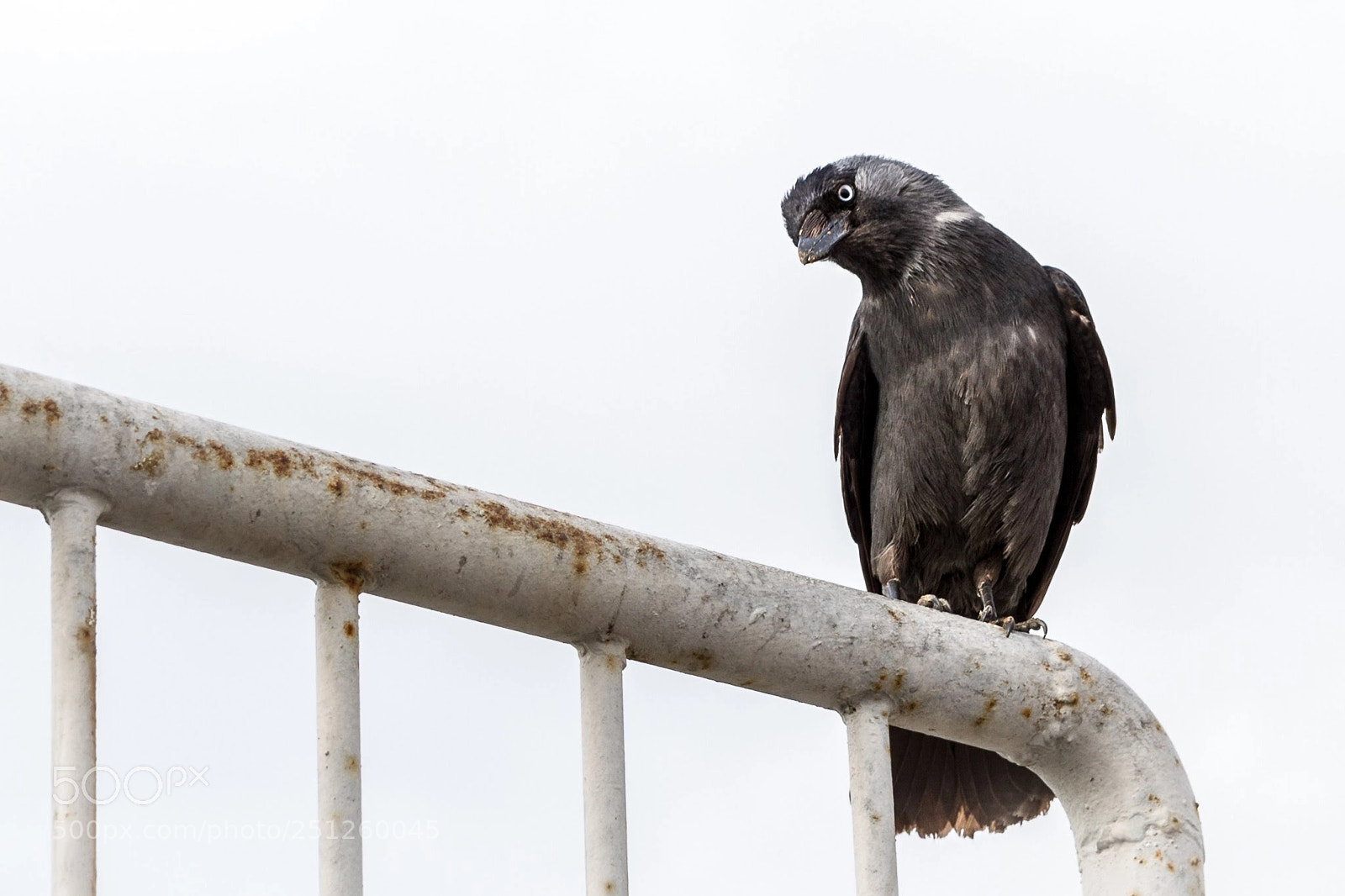 Canon EOS 7D sample photo. Eye of odin photography
