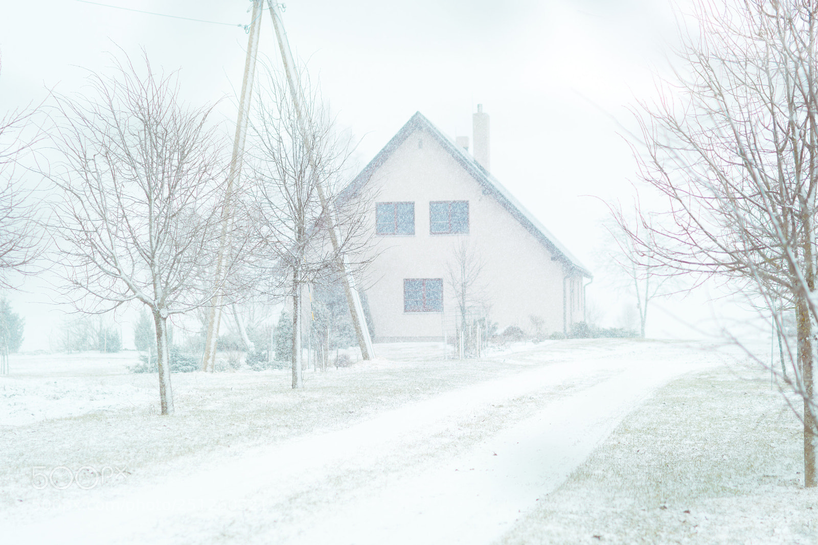 Nikon D5200 sample photo. Sudden snow storm in photography