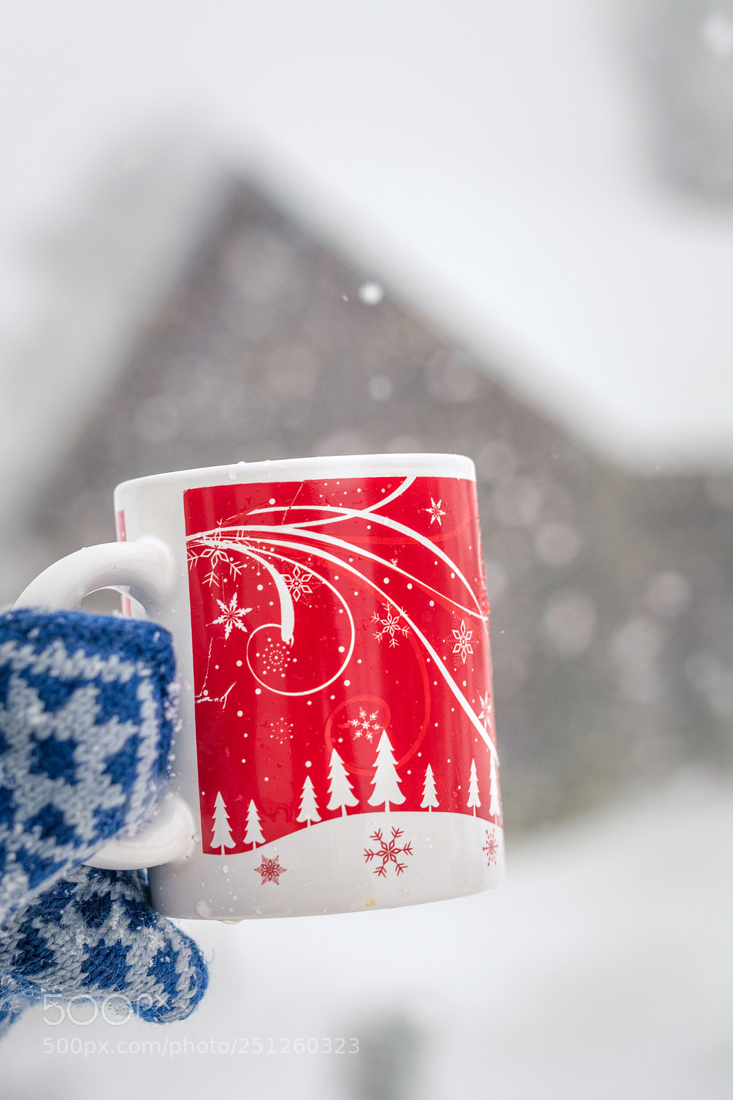 Nikon D5200 sample photo. Sudden snow storm in photography