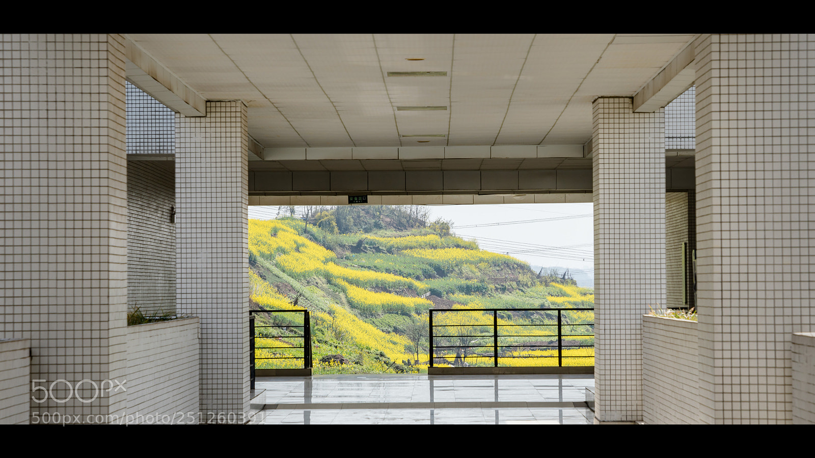 Canon EOS 5D Mark IV sample photo. 外面的世界很精彩 photography