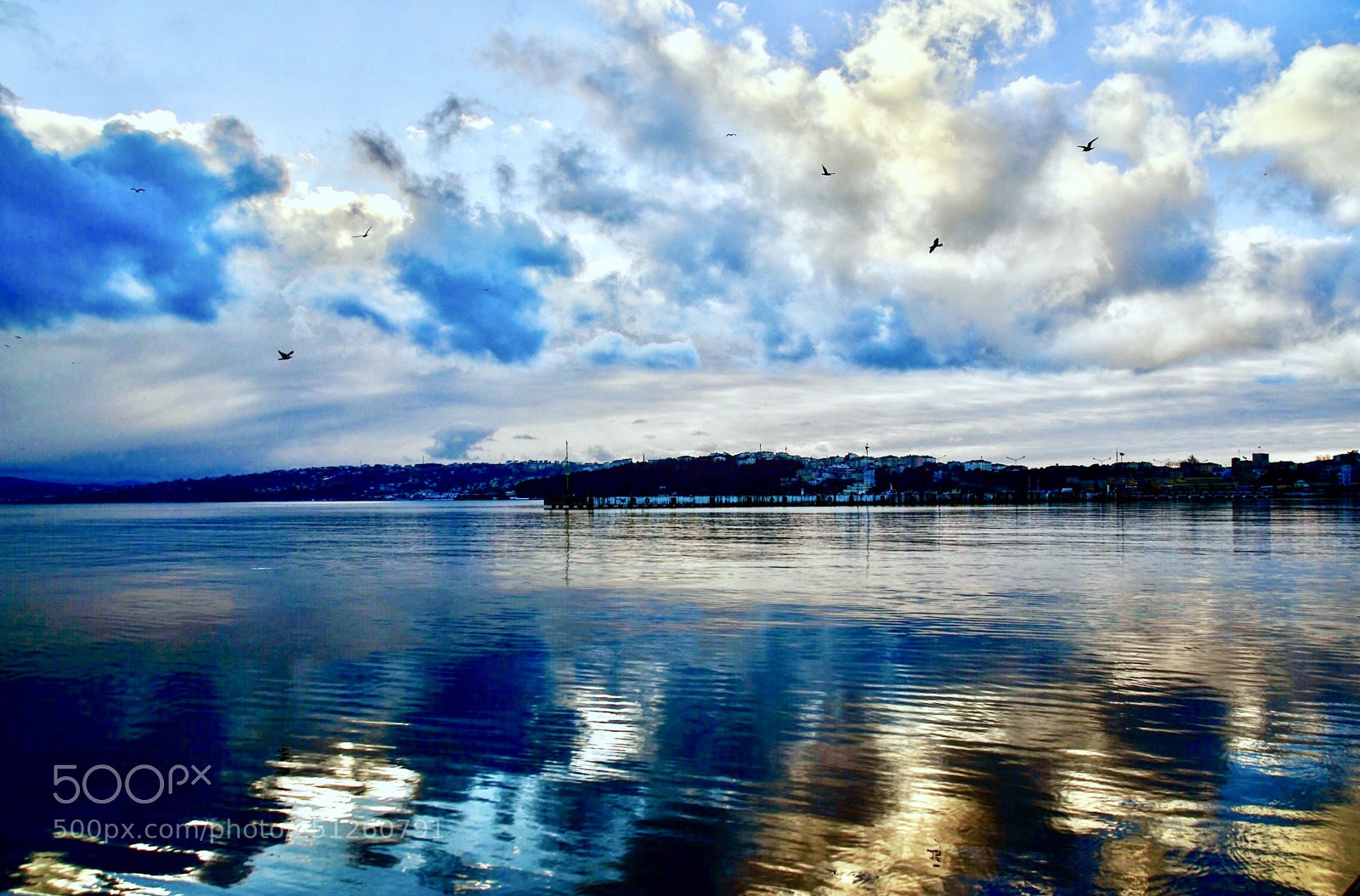 Nikon D7000 sample photo. Reflection photography