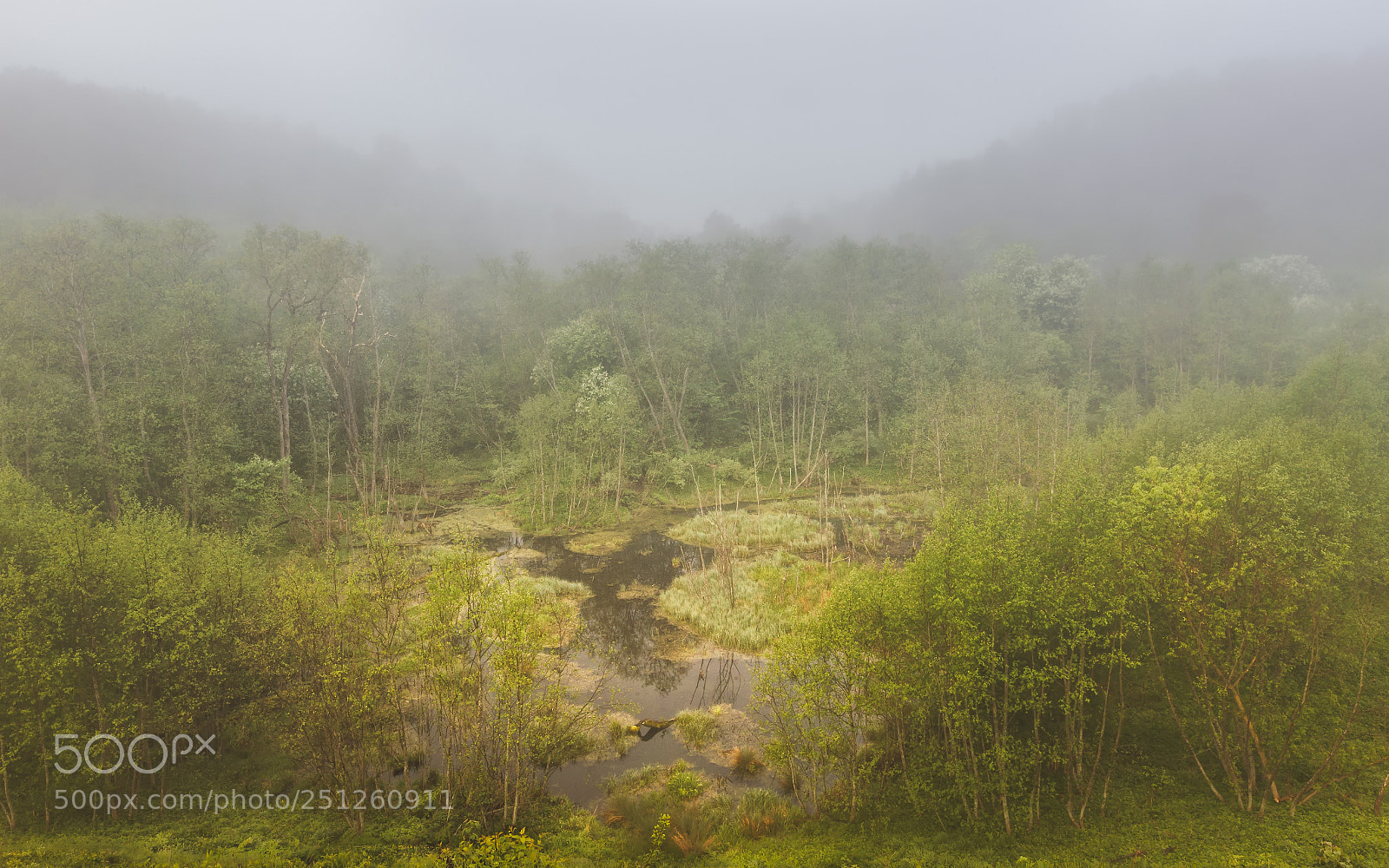 Canon EOS 5D Mark II sample photo. Neries regioninis parkas photography