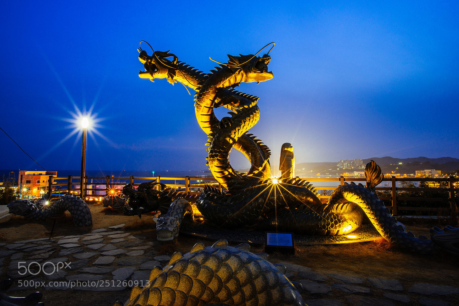 Nikon D800 sample photo. Nine dragons photography