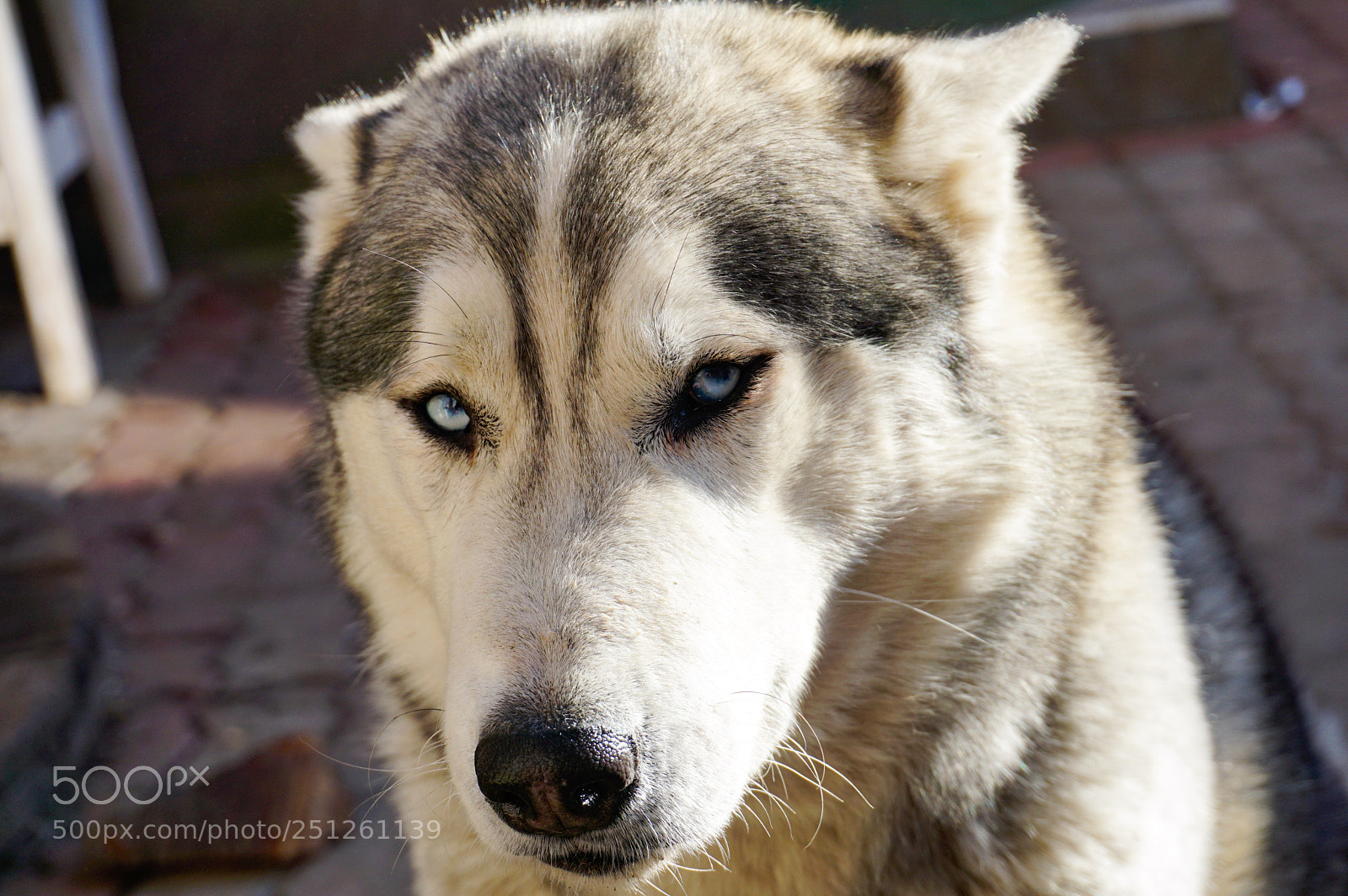 Sony a6000 sample photo. Kristofer photography