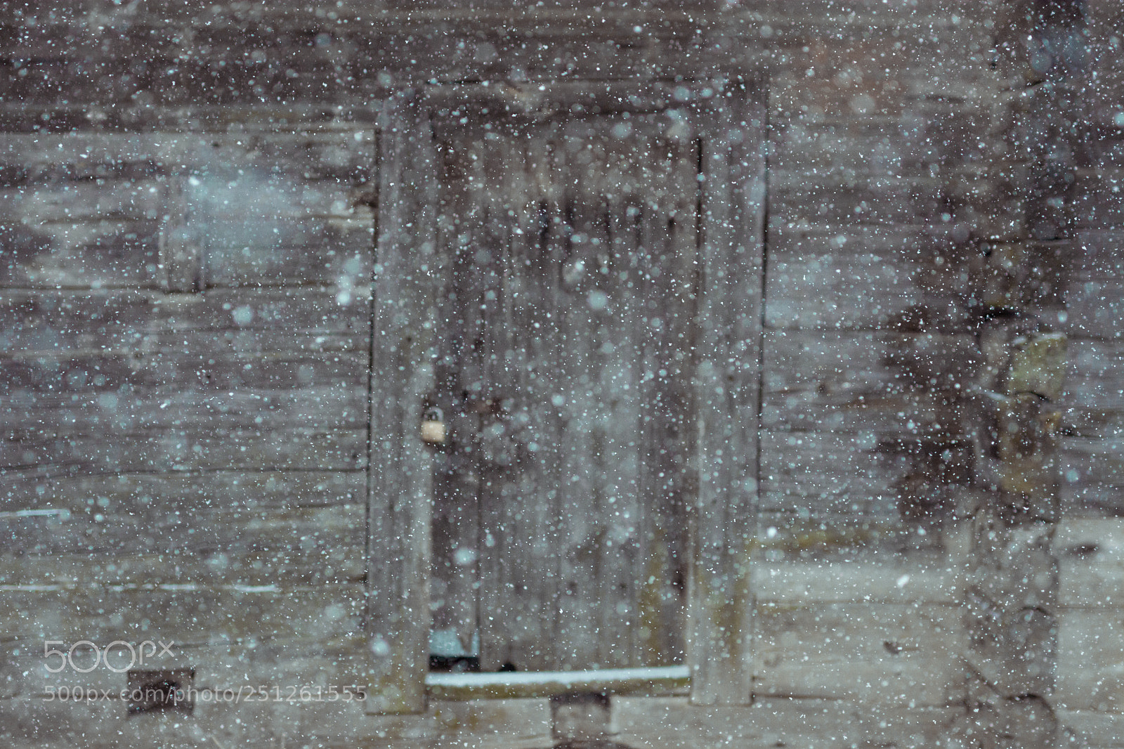 Nikon D5200 sample photo. Sudden snow storm in photography