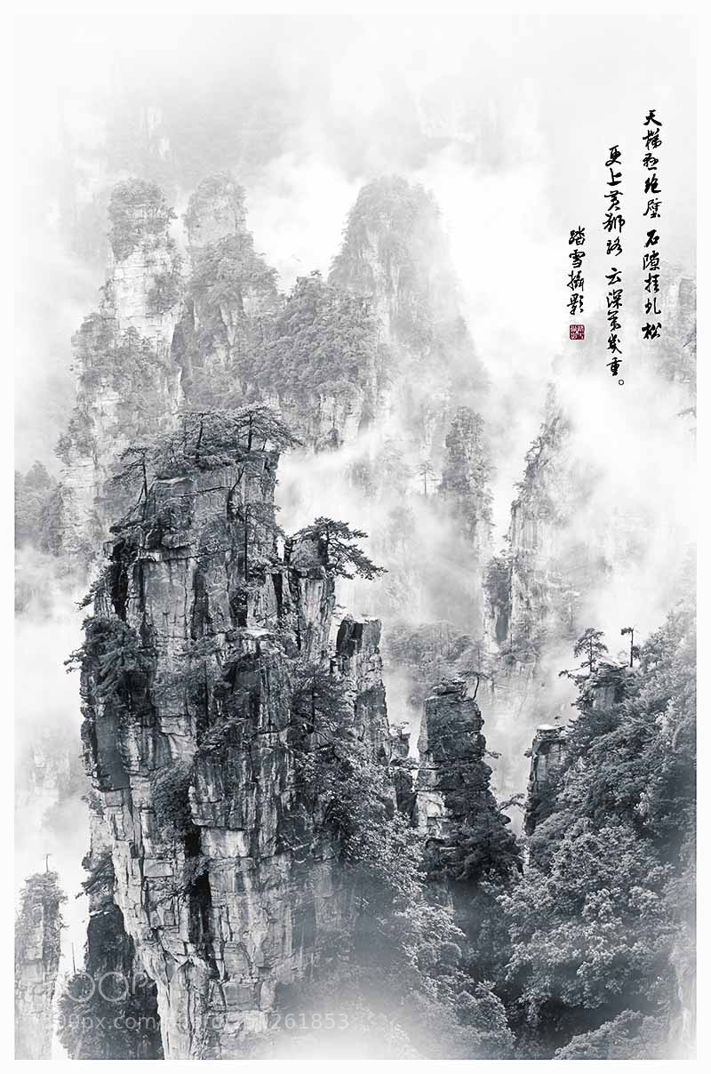 Nikon D800 sample photo. 张家界天子山国画 photography