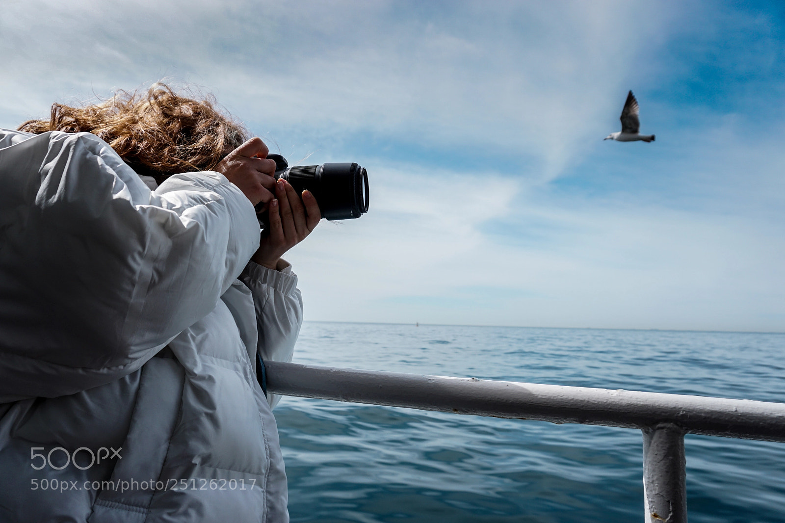 Sony a6000 sample photo. Catching a seagull with photography