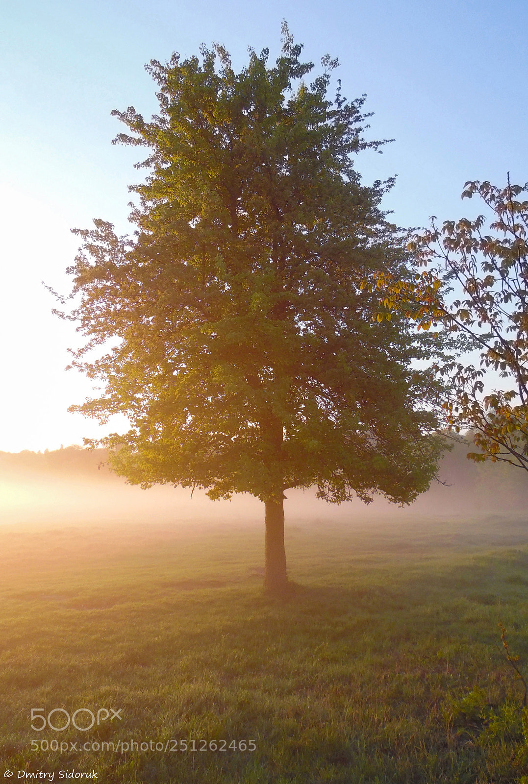 Samsung WB1100F/WB1101F/WB1102F sample photo. Golden sunrise photography