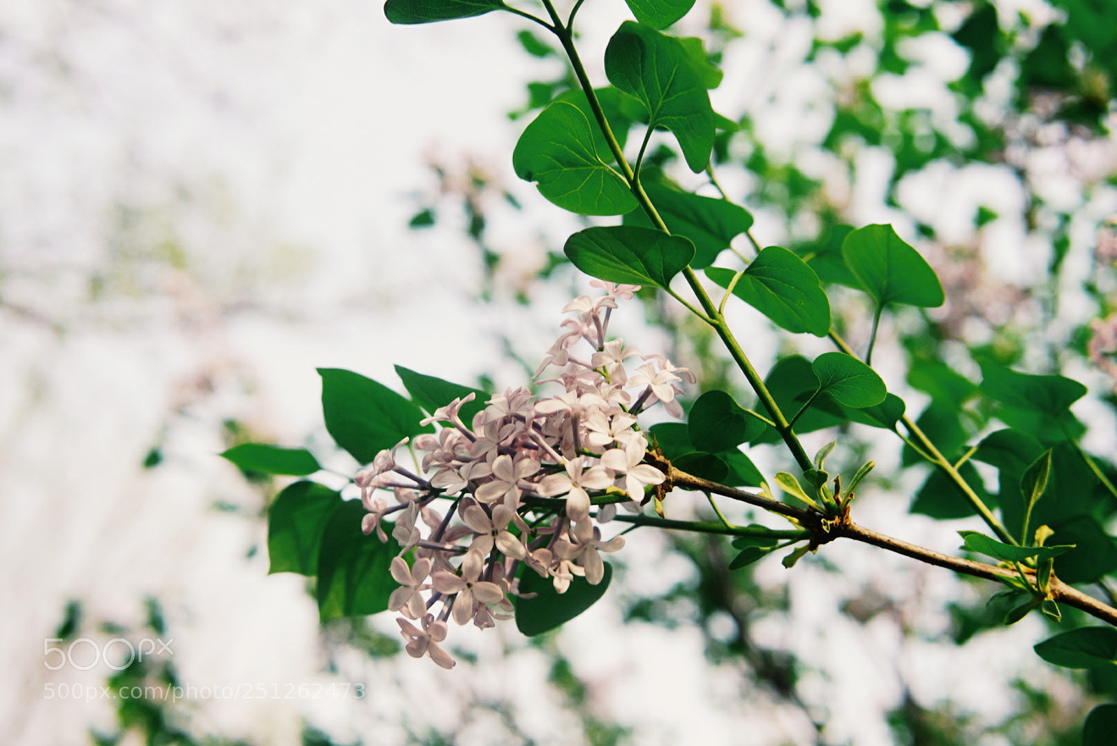 Sony a6000 sample photo. Untitled photography