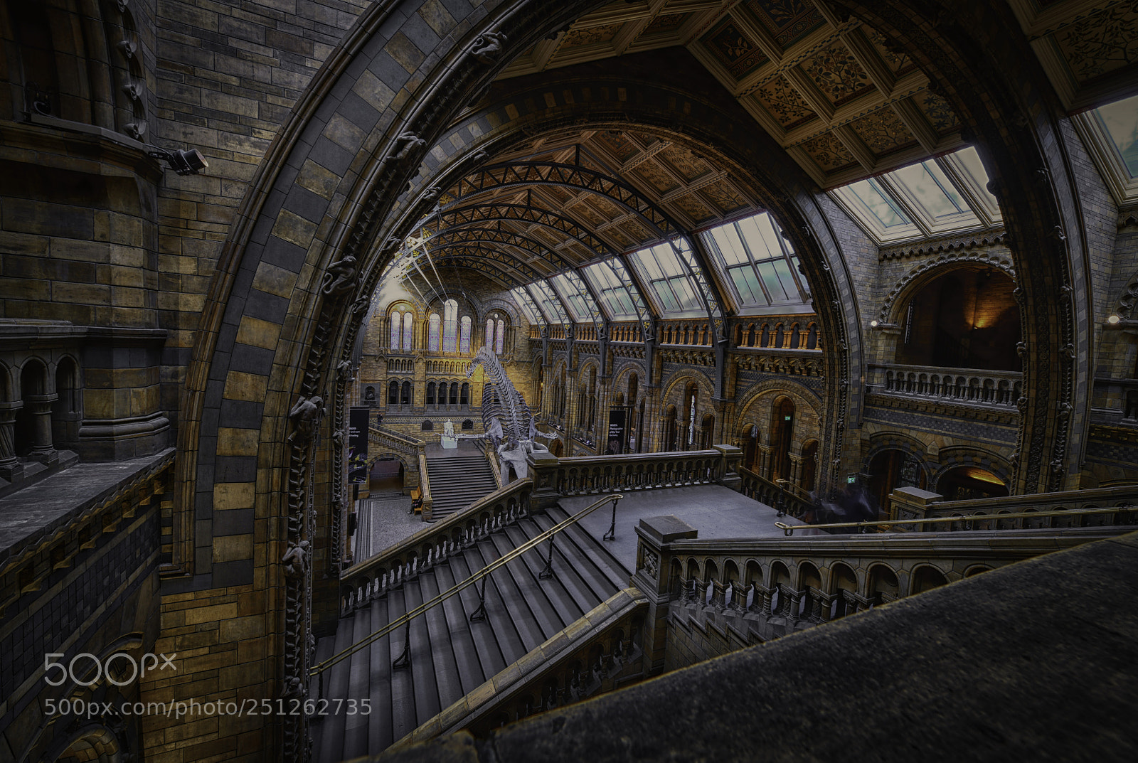 Nikon D850 sample photo. Natural history museum of photography