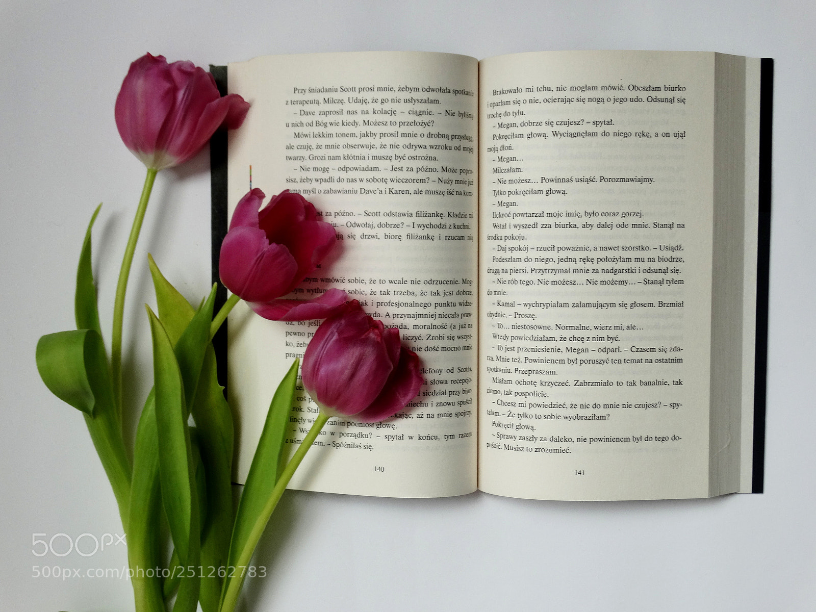 Sony Cyber-shot DSC-HX300 sample photo. Book photography