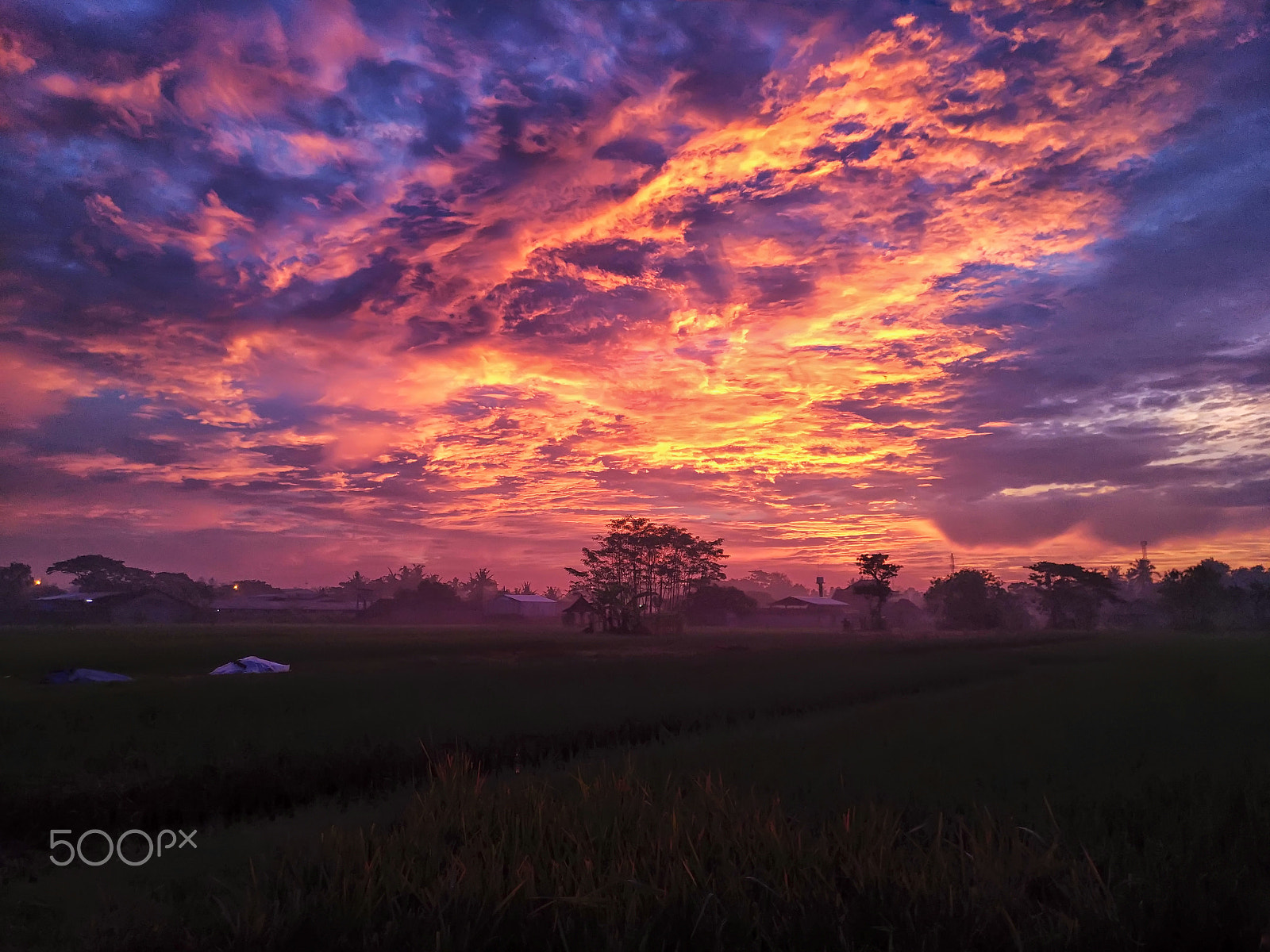 ASUS Z012DB sample photo. Morning sky. photography