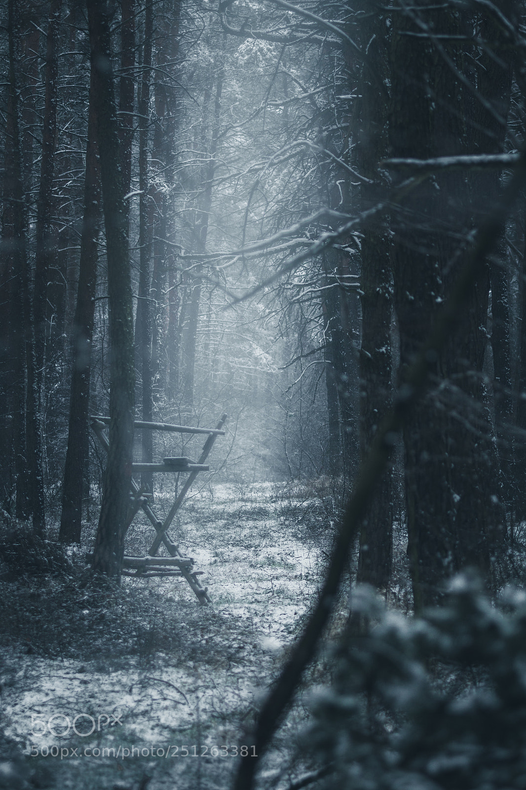 Canon EOS 70D sample photo. Moody forest photography