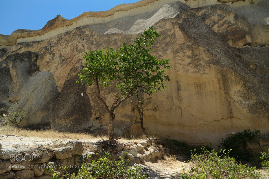 Samsung NX30 sample photo. ... photography