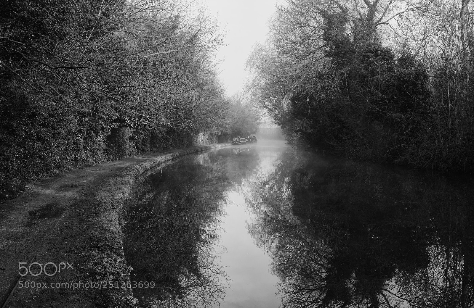 Sony a7R sample photo. Spring mist on grand photography
