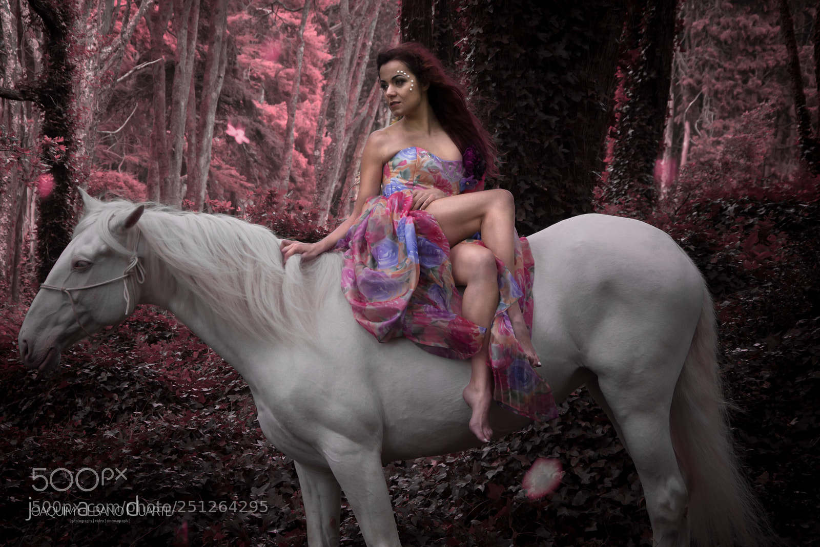 Nikon D7100 sample photo. Joana photography