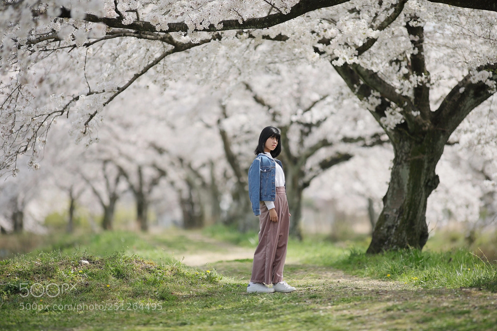 Canon EOS 5D Mark IV sample photo. Hibiki photography