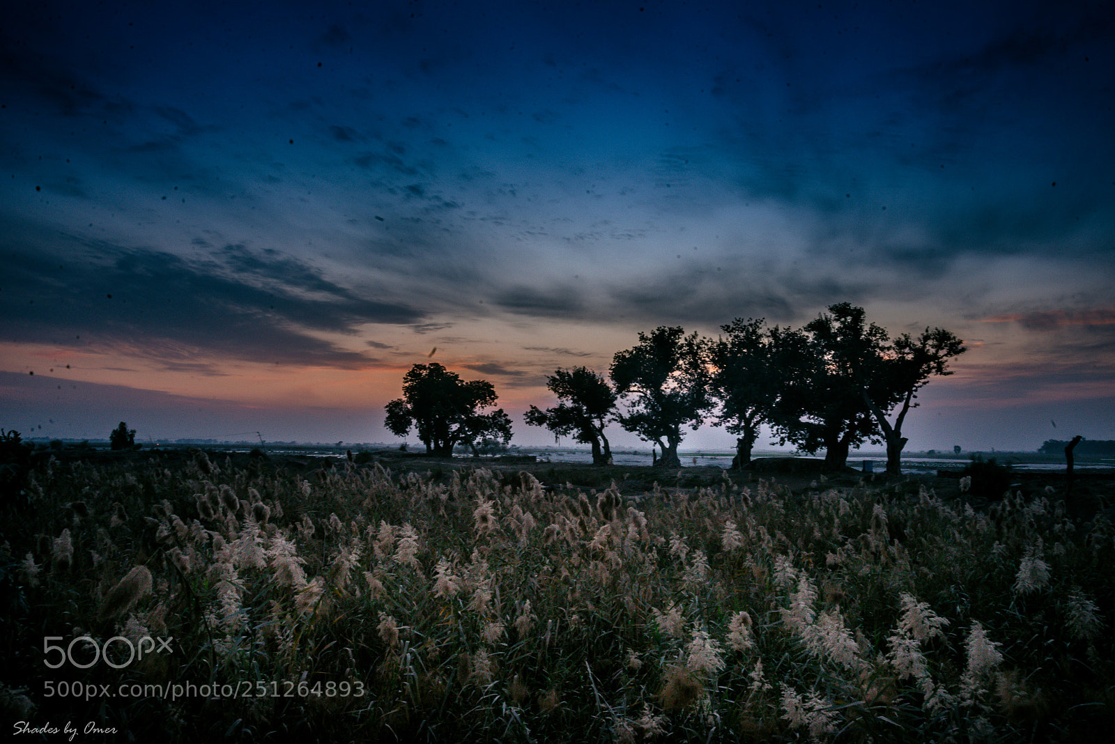 Nikon D610 sample photo. Sunset photography