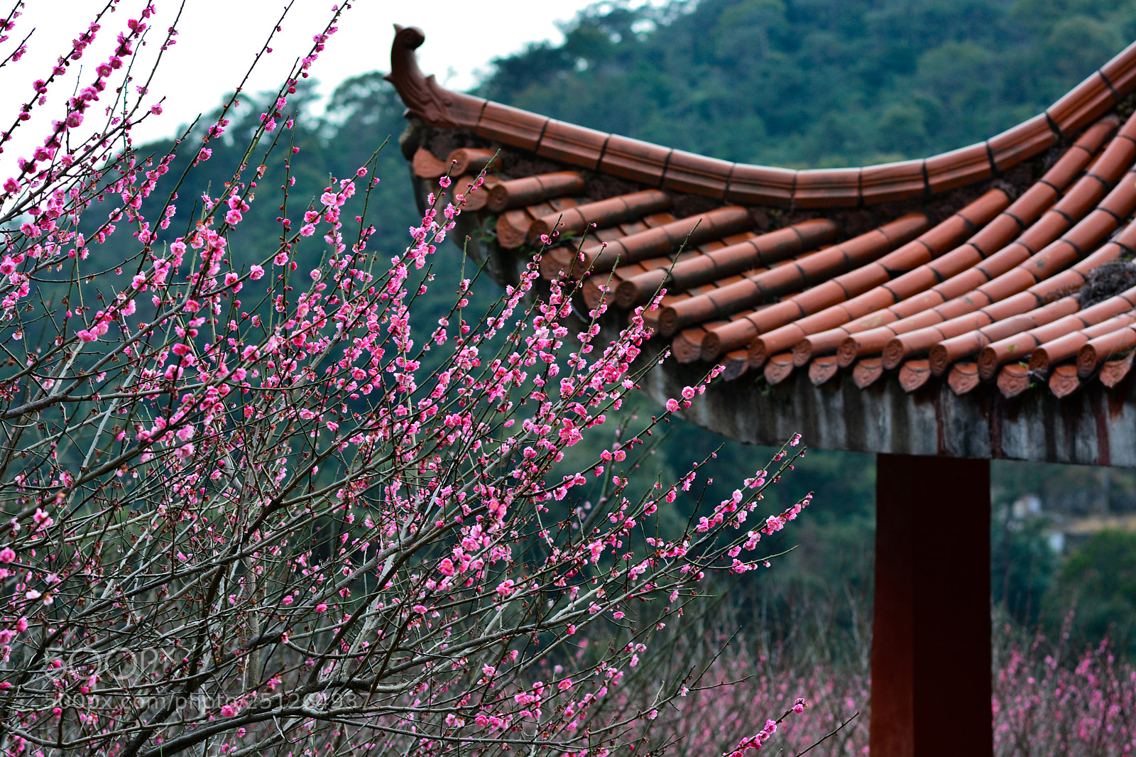 Nikon D7100 sample photo. Untitled photography