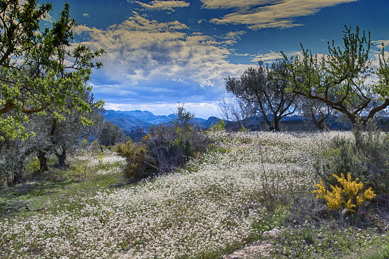 Canon EOS 6D Mark II sample photo. Spring landscape with castle photography