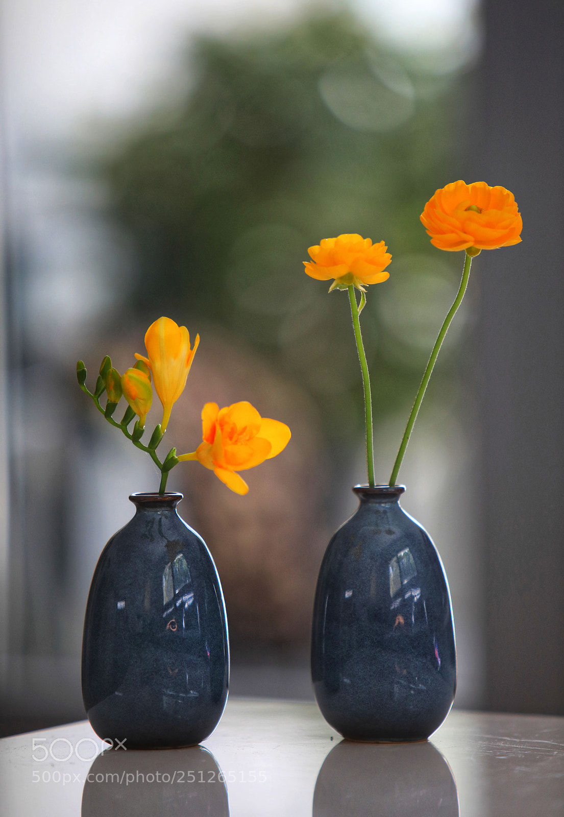 Canon EOS 5D Mark IV sample photo. Nature lover photography