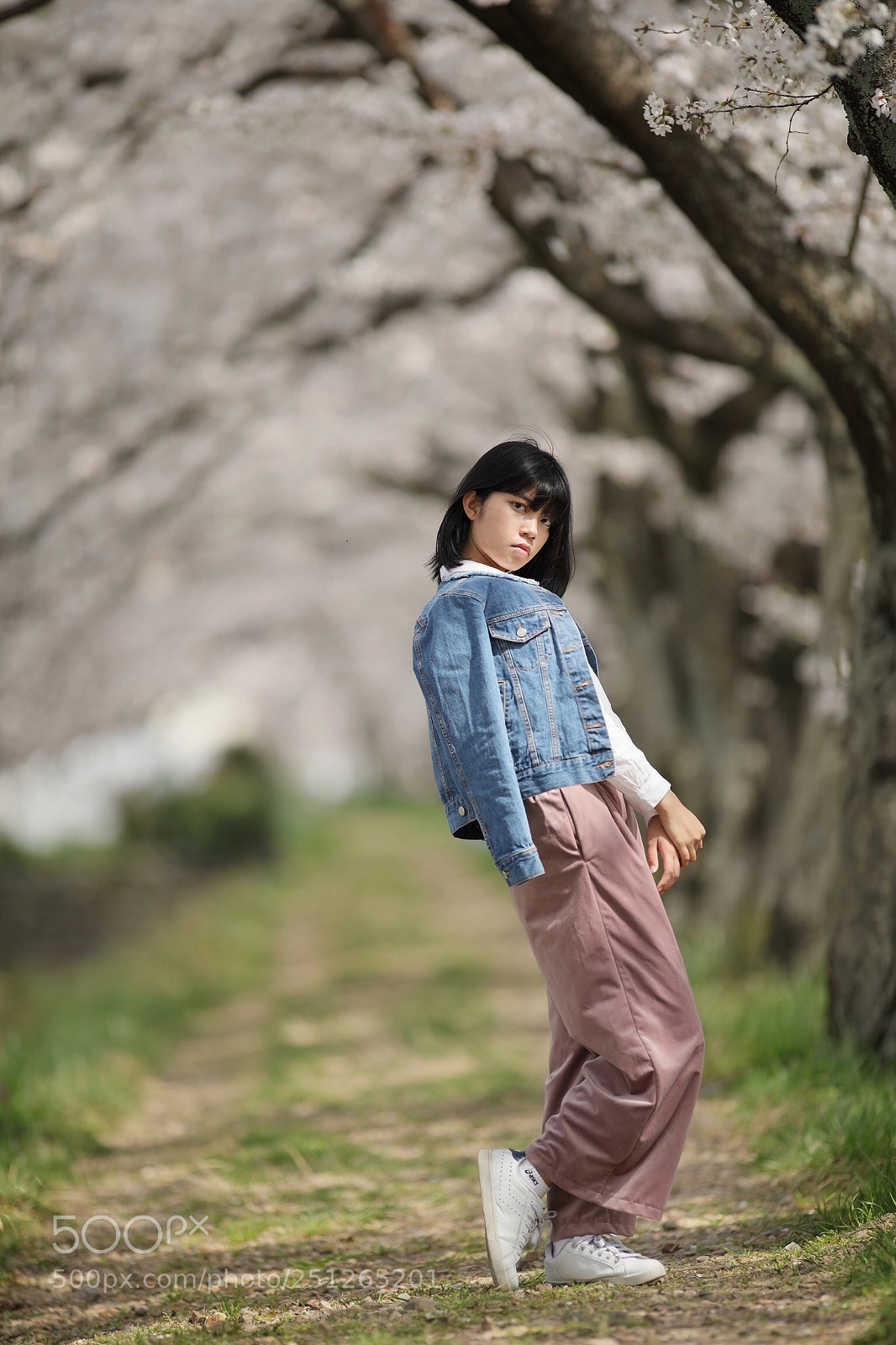 Canon EOS 5D Mark IV sample photo. Hibiki photography