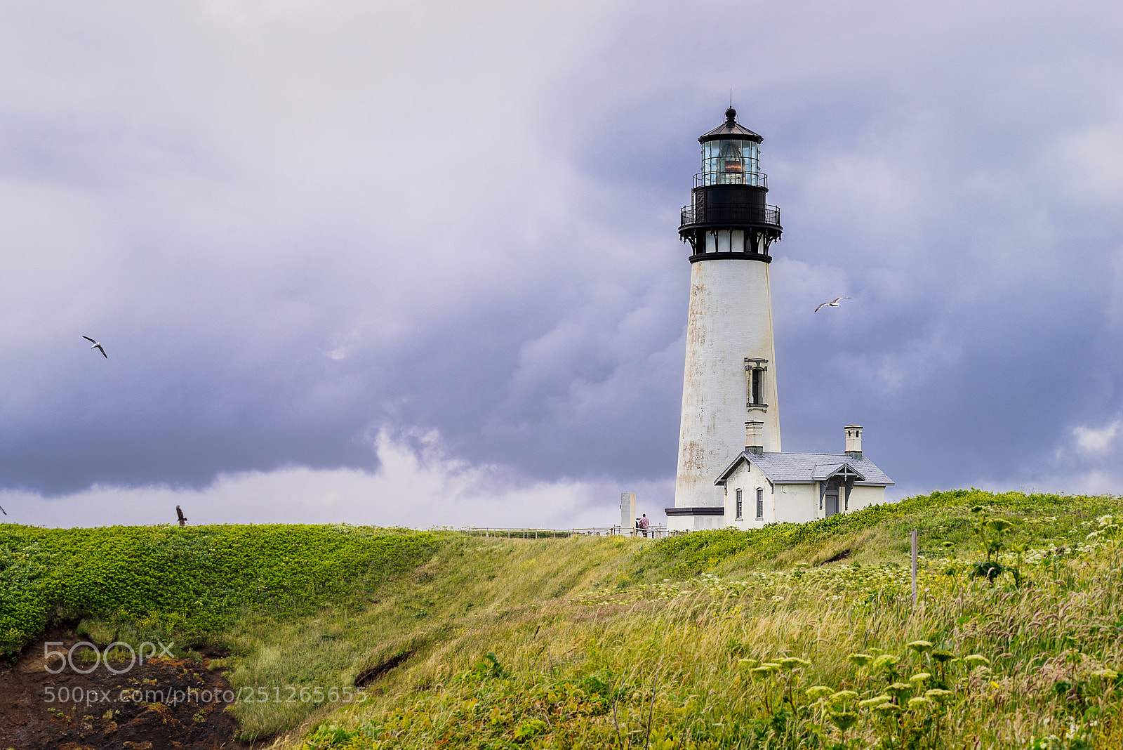 Sony a7R sample photo. Yaquina head lighthouse photography