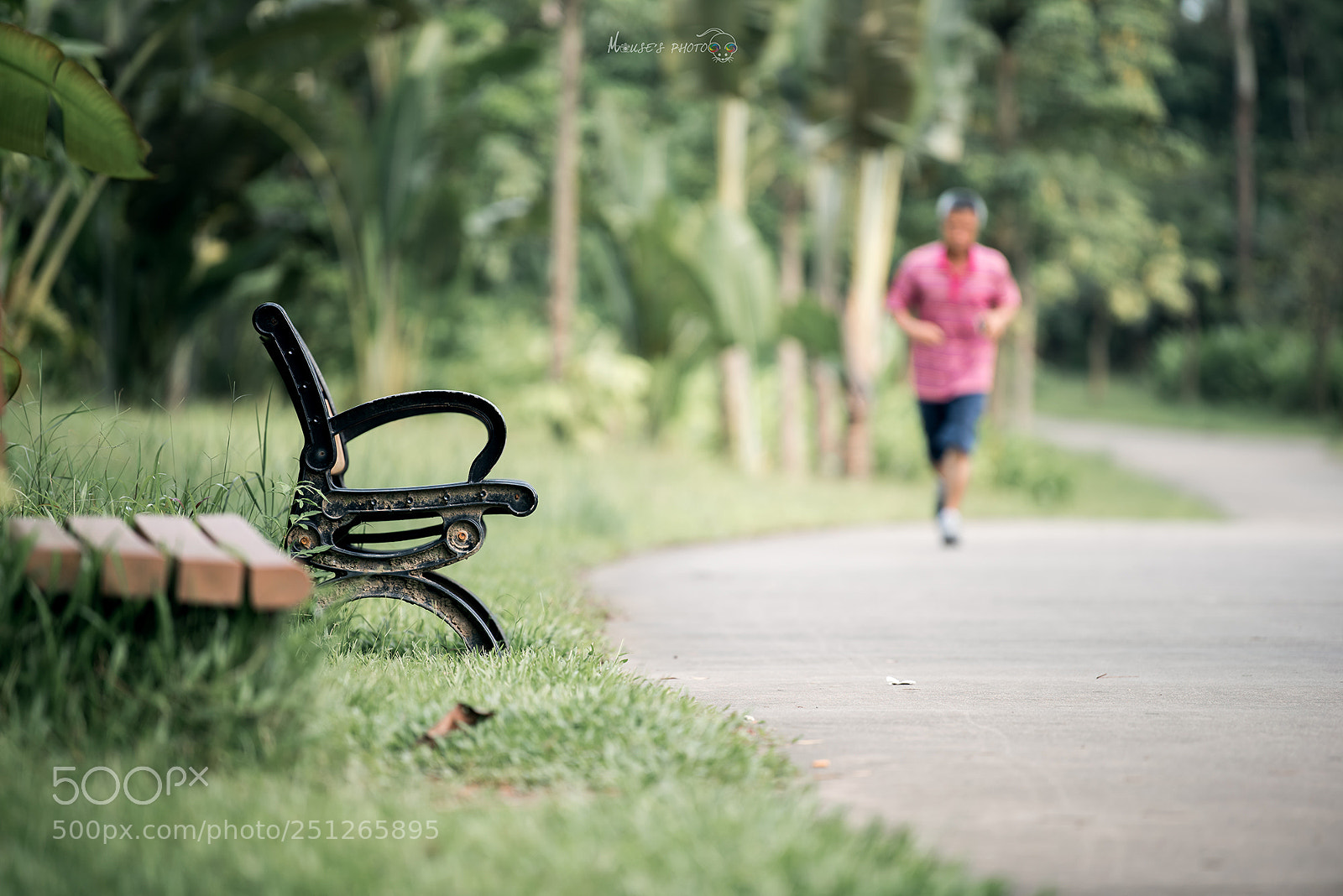 Nikon D810 sample photo. 跑步 photography