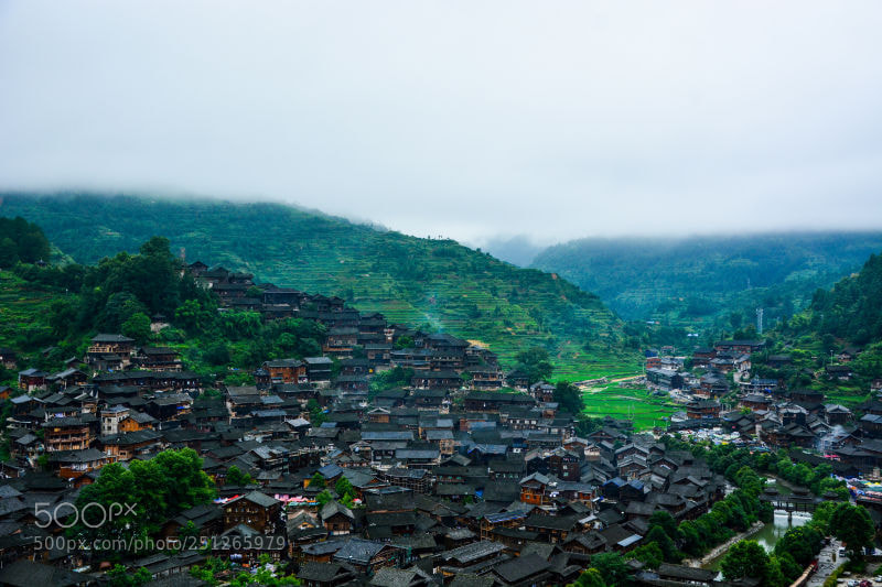Nikon D7100 sample photo. Untitled photography