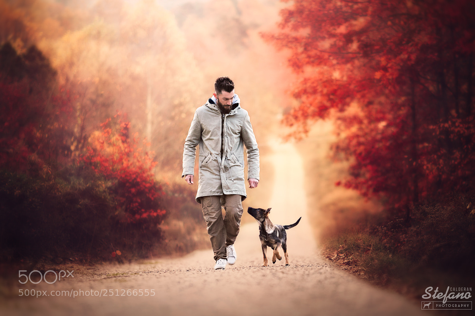 Canon EOS-1D X Mark II sample photo. Our journey has just photography