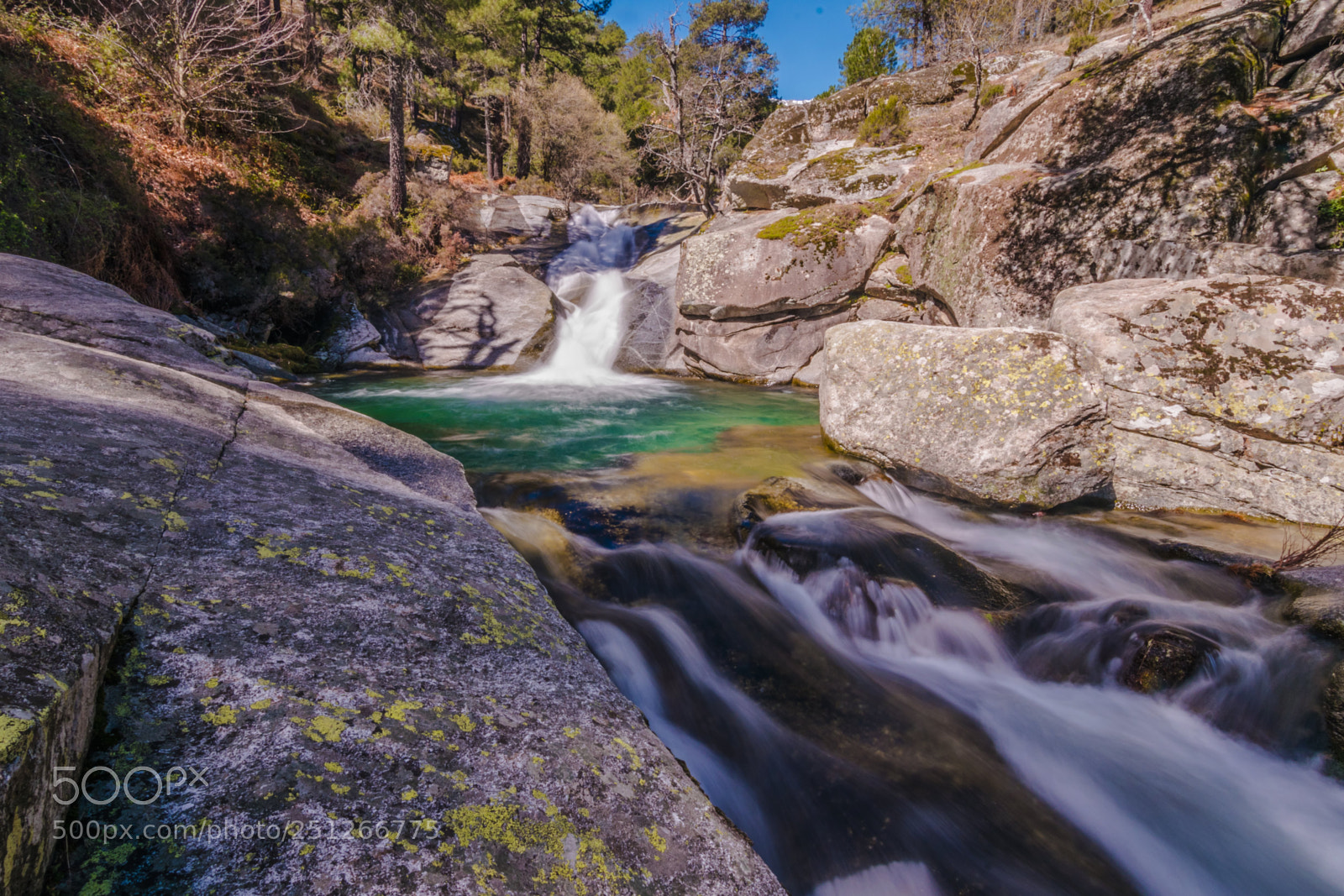Nikon D3300 sample photo. Charco verde de el photography