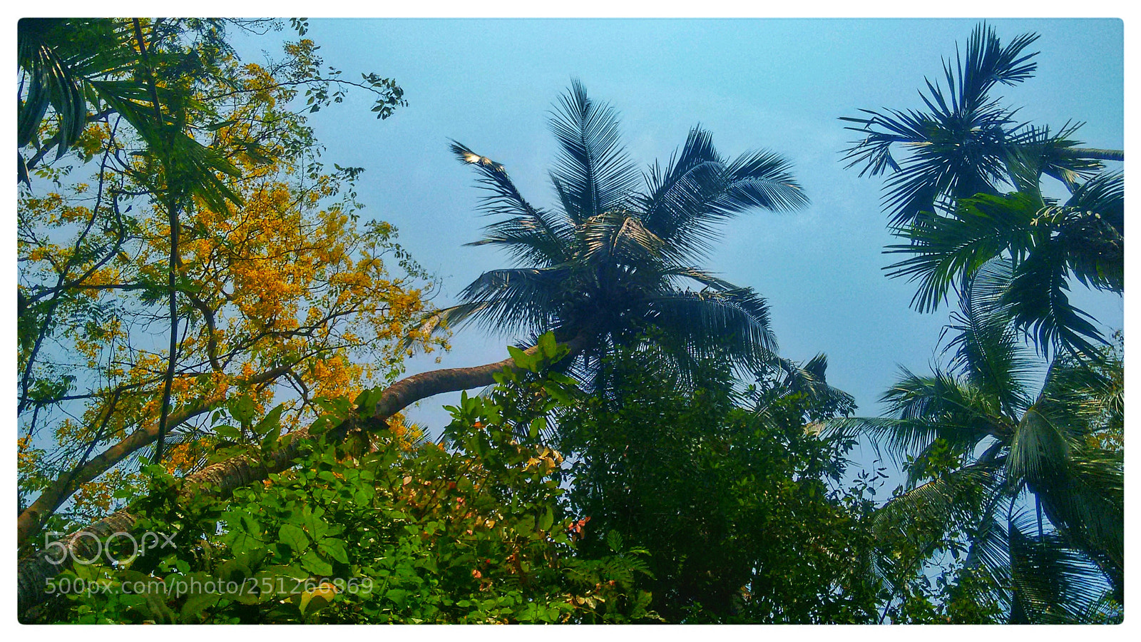 Motorola Moto G (2nd Gen) sample photo. Sky .. photography