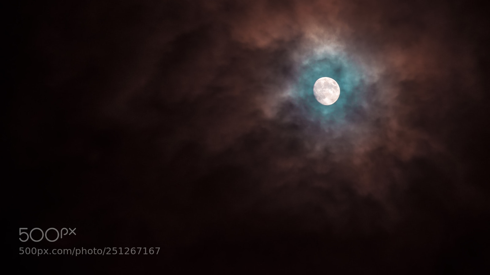 Nikon D800 sample photo. Tonight's moonlight photography