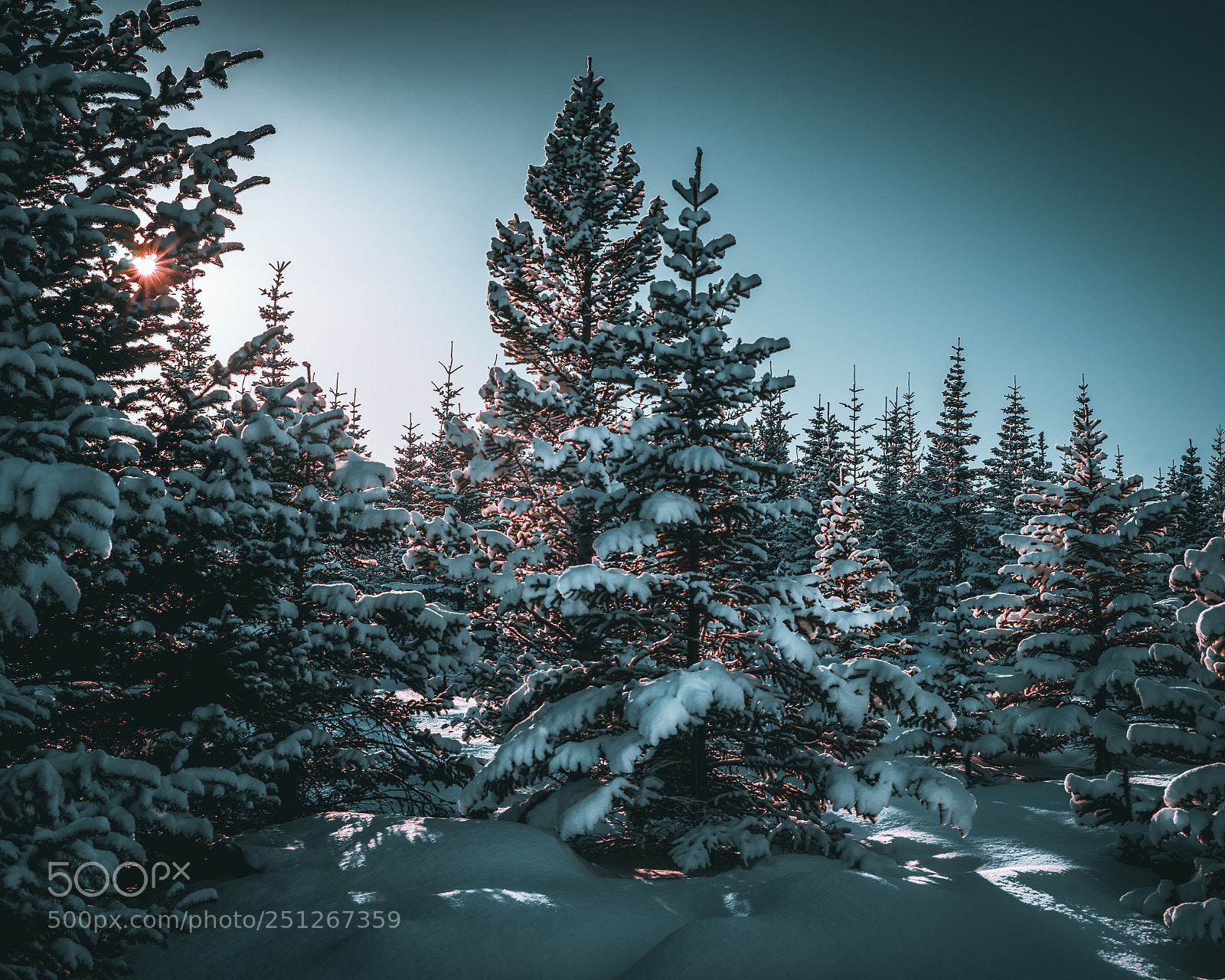 Sony a7 sample photo. Last light photography