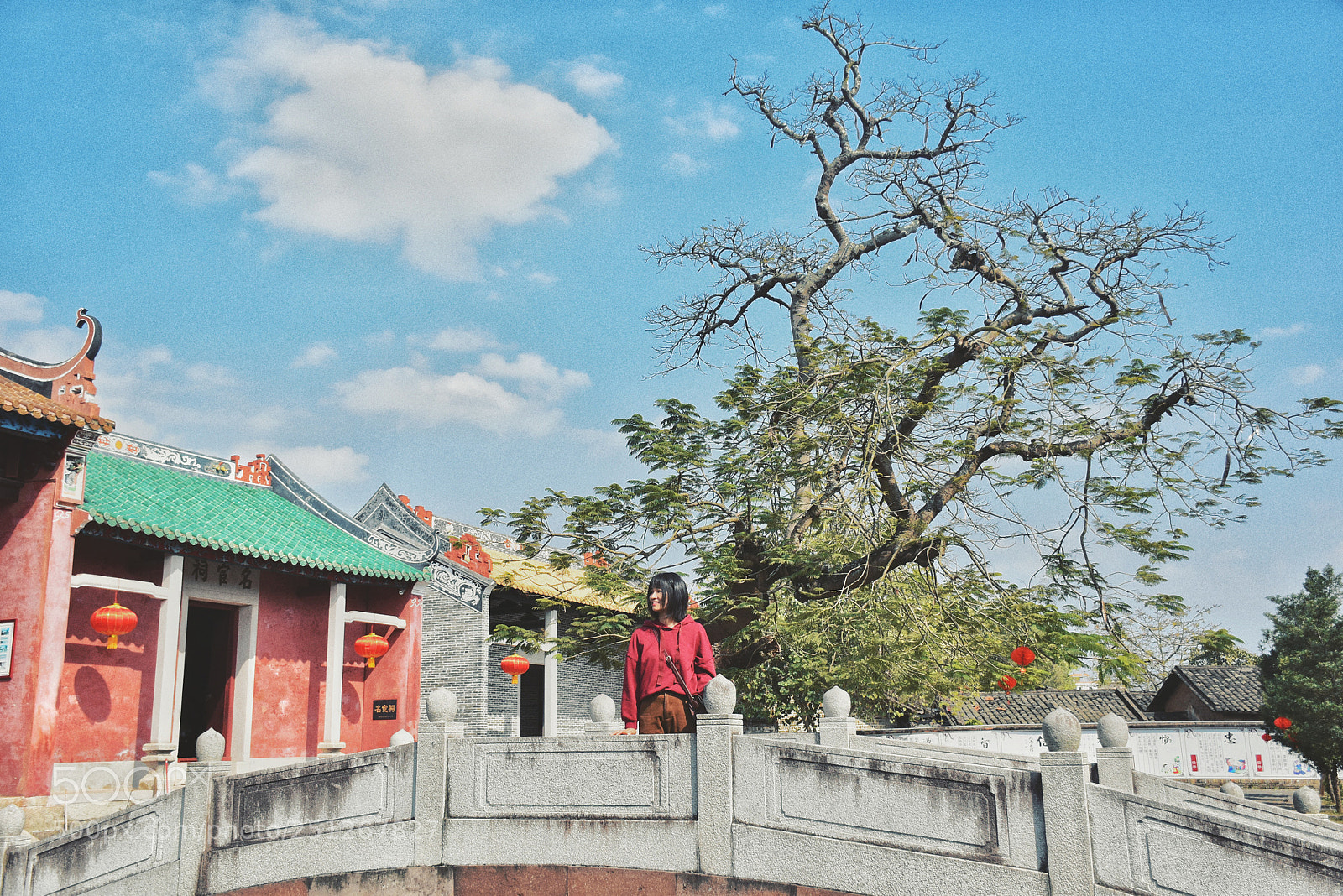 Nikon D5500 sample photo. Untitled photography