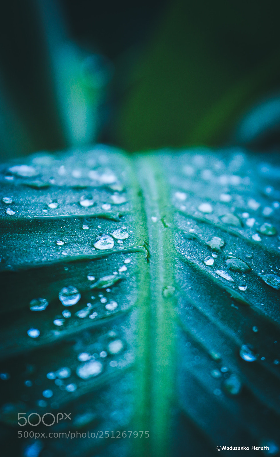 Canon EOS 70D sample photo. Water bubbles photography