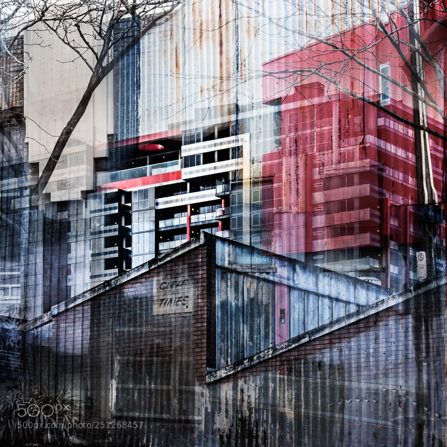 Canon EOS 7D Mark II sample photo. Adelaide sw photography