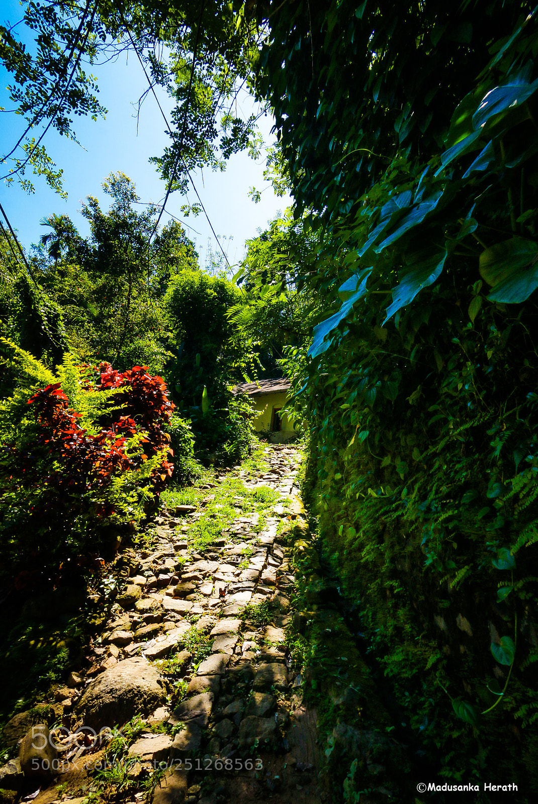 Canon EOS 70D sample photo. Way photography