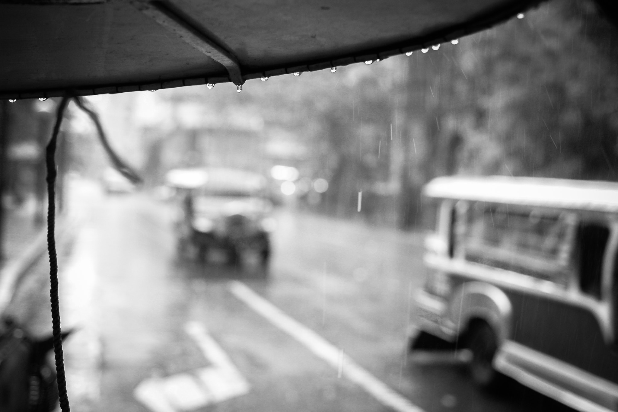 Fujifilm FinePix S2 Pro sample photo. Strong showers photography