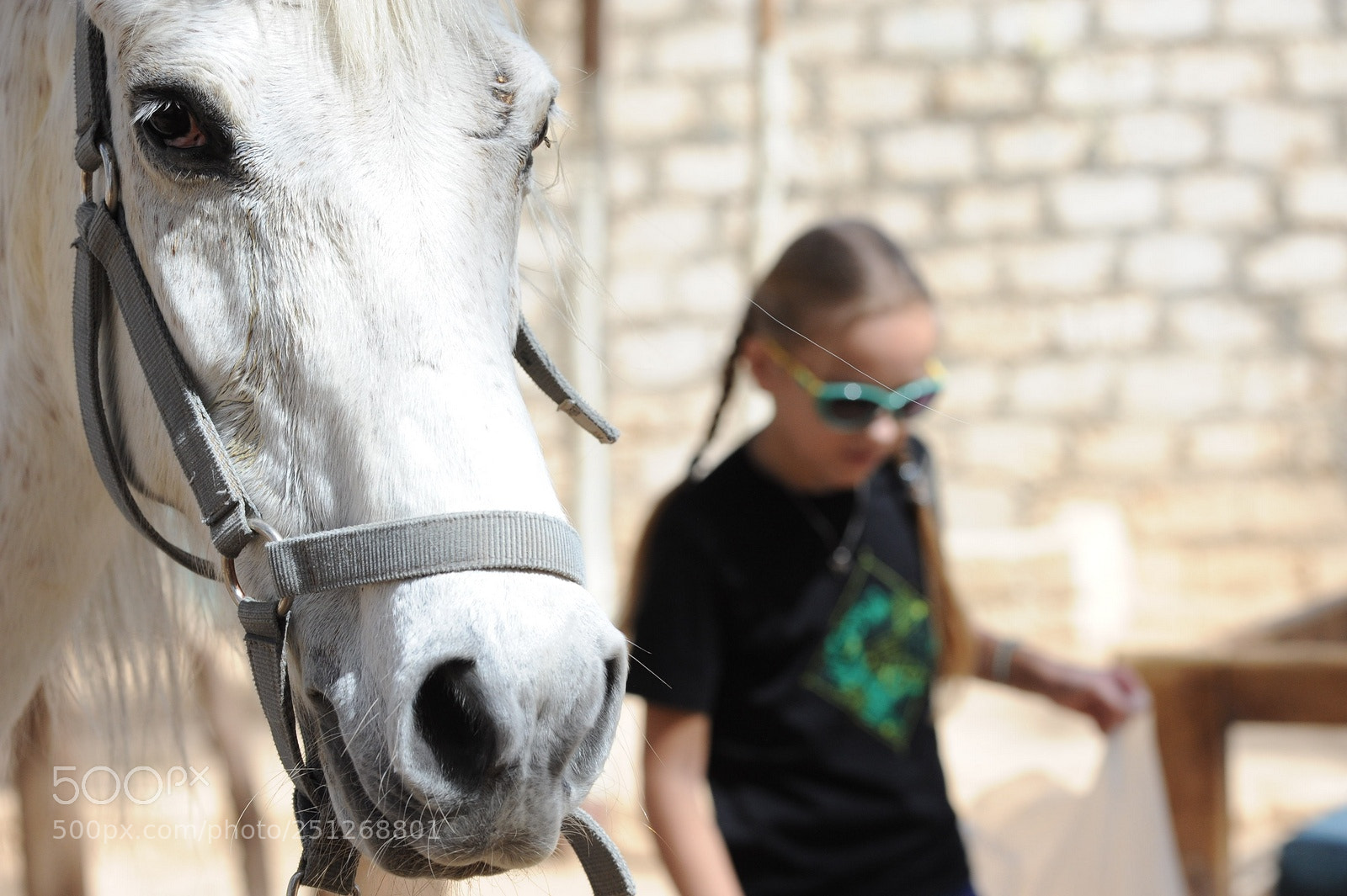 Nikon D700 sample photo. Friends photography