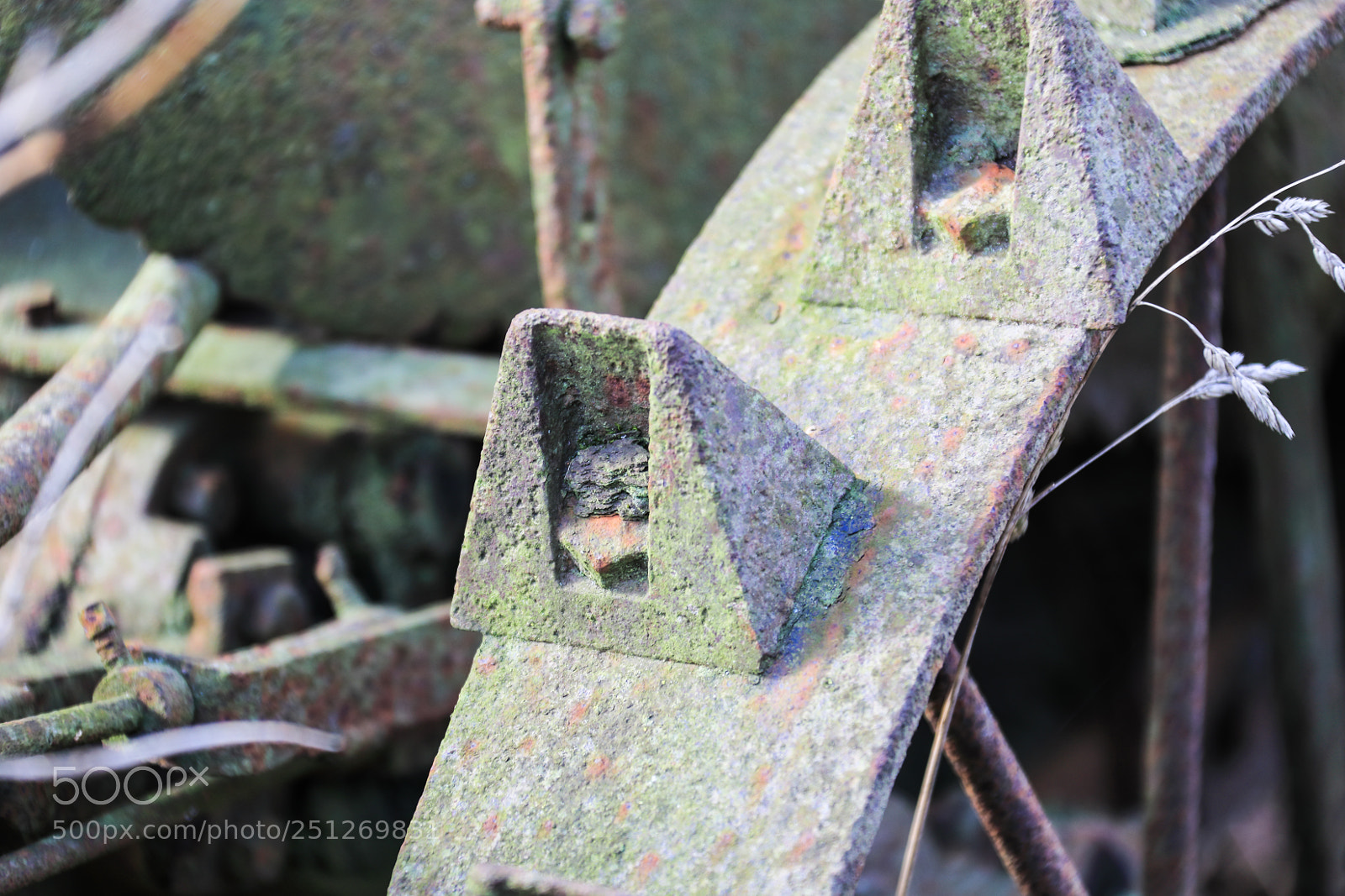 Canon EOS 5D Mark IV sample photo. Untitled photography