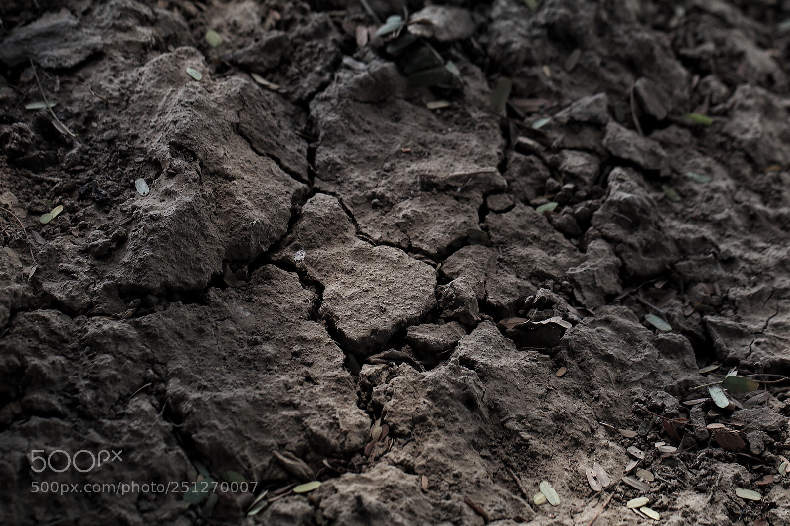Canon EOS 80D sample photo. Parched photography