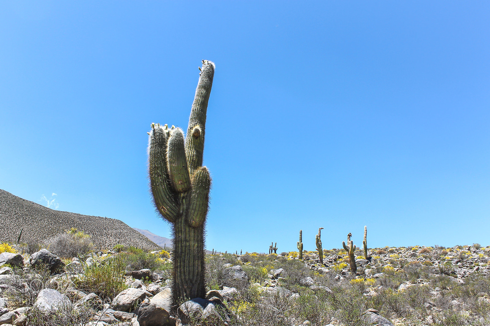 Canon EOS 1100D (EOS Rebel T3 / EOS Kiss X50) sample photo. Andes argentine photography