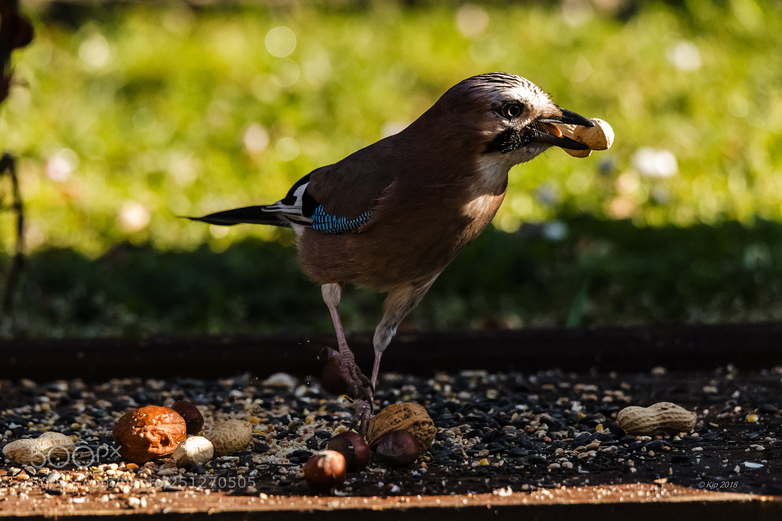 Nikon D850 sample photo. 8a1_2277-3.jpg photography