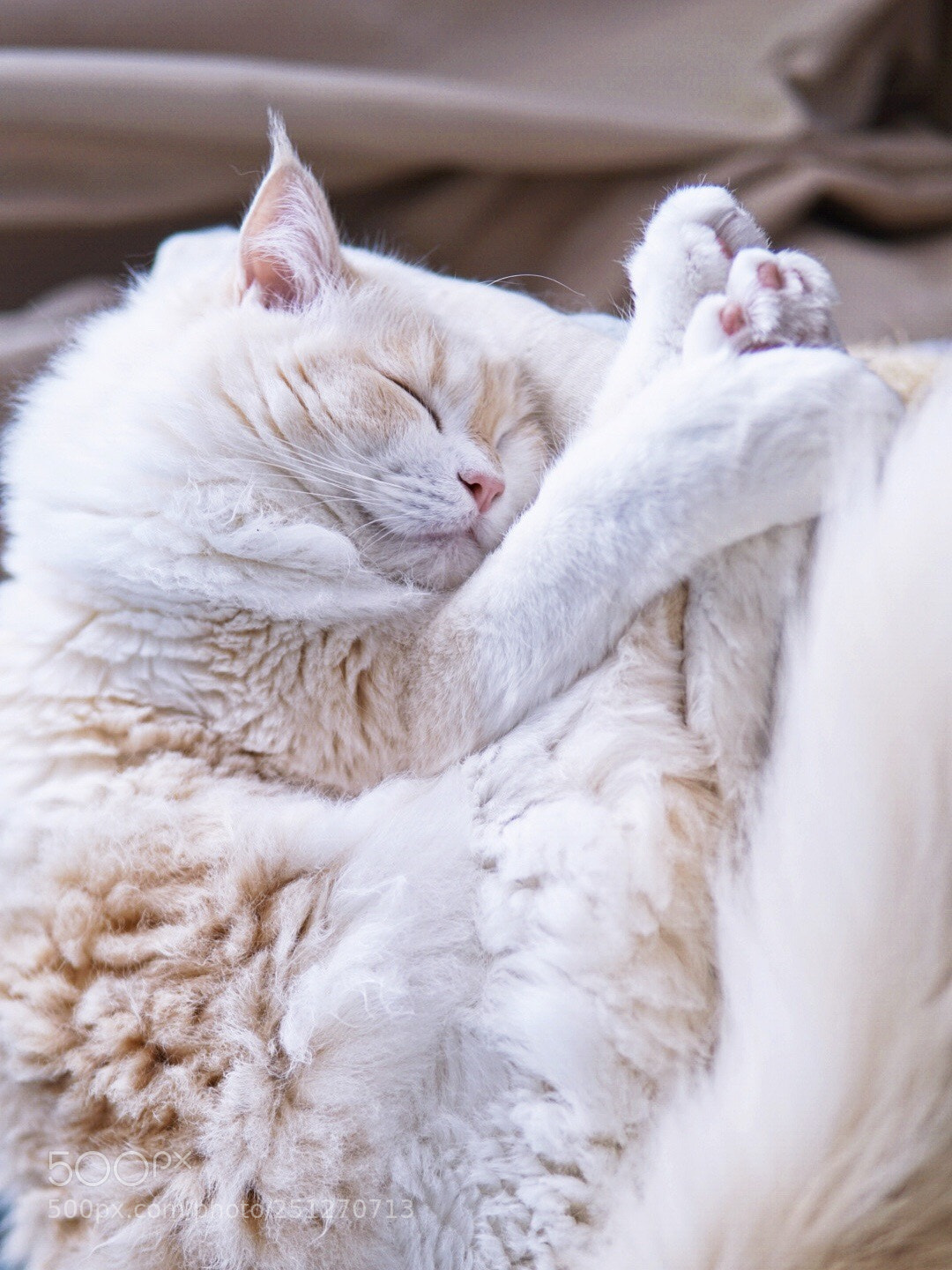 Sony a6000 sample photo. Untitled photography