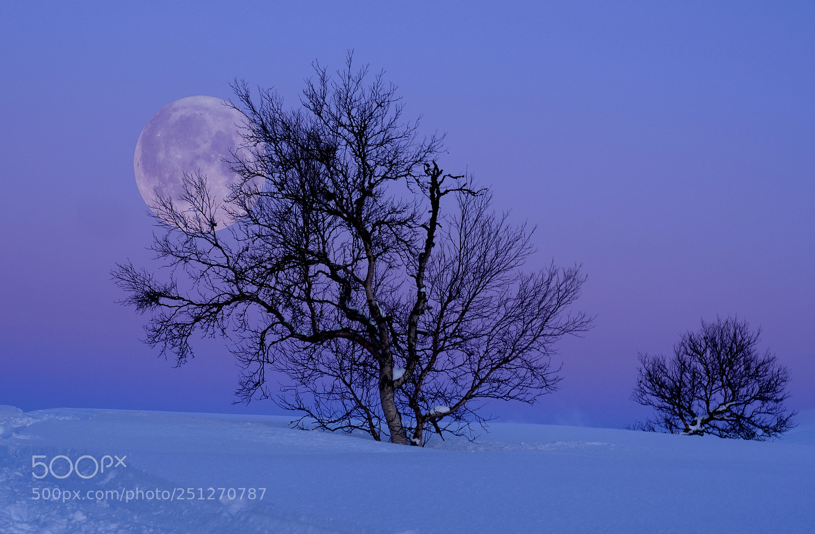 Nikon D7000 sample photo. Winterlight photography