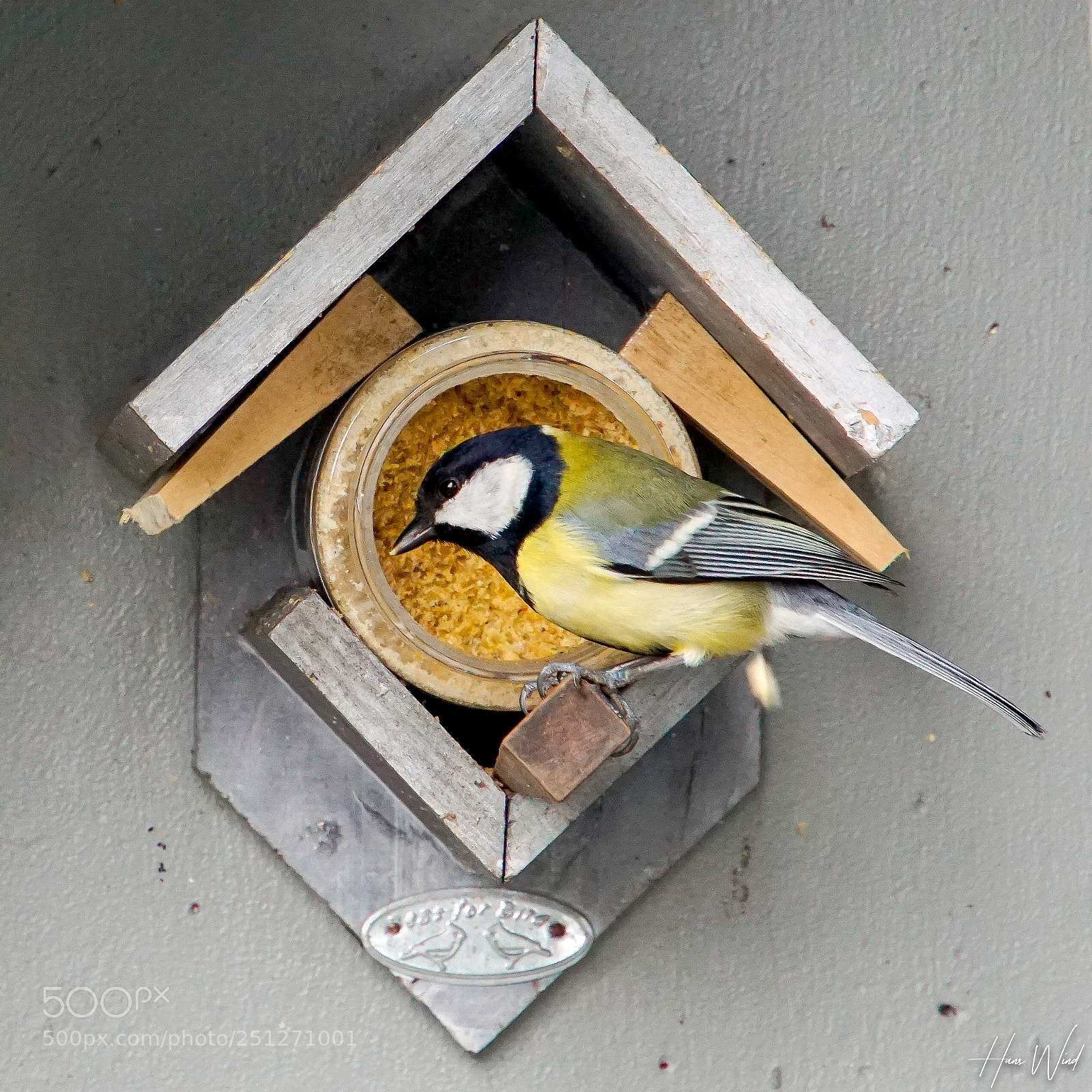 Sony a6000 sample photo. Parus major balconi great photography