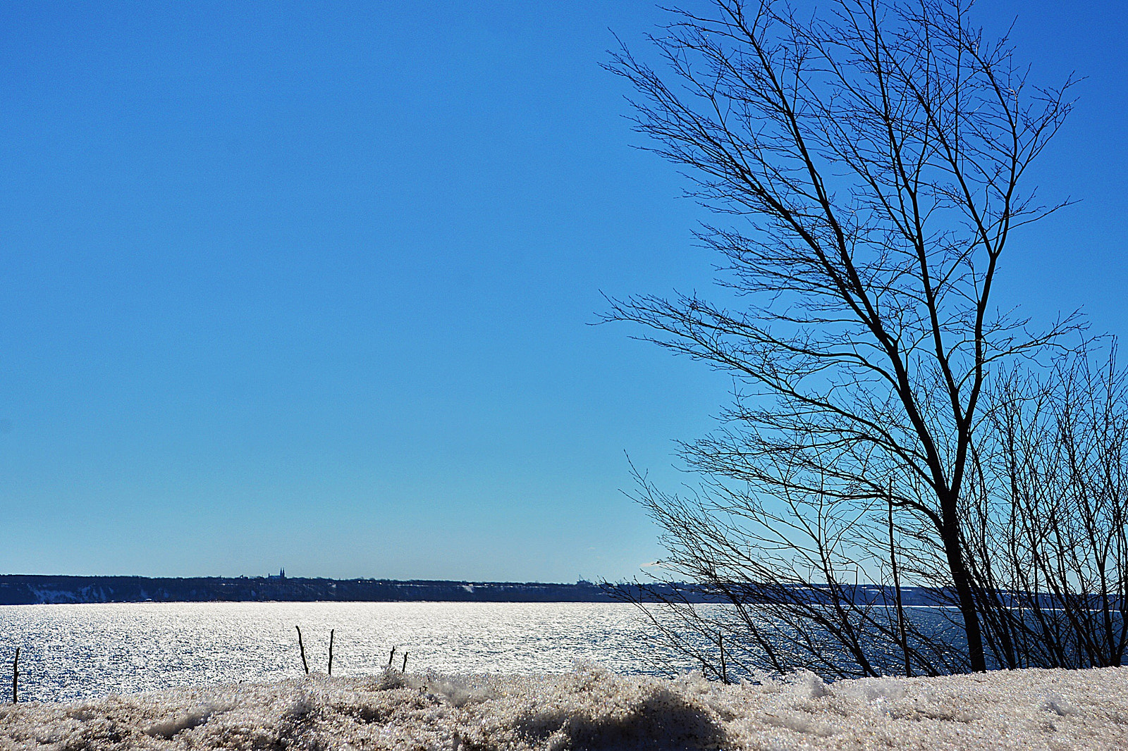 Nikon D7100 sample photo. Le printemps  photography
